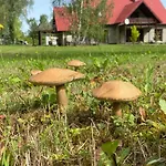 Фермерский дом Anielski Zakatek *