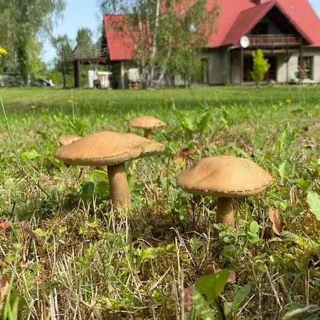 Alojamento de Turismo Rural Anielski Zakatek *